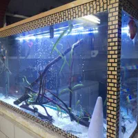 اکواریوم با شیشه ۱۰ میل