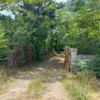 ۸۰۰۰ متر زمین