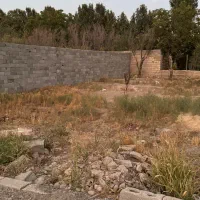 زمین ۵۰۰متری داخل شهرکی با اب وبرق وگاز|فروش زمین و ملک کلنگی|کرج, عظیمیه|دیوار