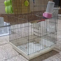 قفس پرنده بزرگ