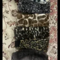 هدبندخزدارروسی