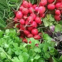 پاک کردن سبزی پذیرفته میشود