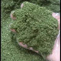 نعنا و شوید فارس