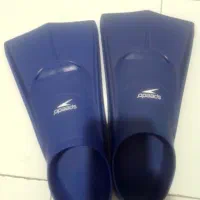 فین شنا