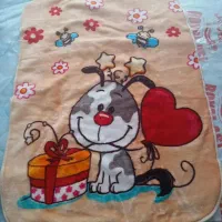 پتو|رختخواب، بالش، پتو|خرمدره, |دیوار