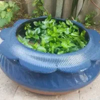 گلدان بدون رنگ|صنایع دستی و سایر لوازم تزئینی|سراوان, |دیوار