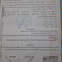 زمین ۲۳۰ متری مسکونی، تجاری دو بهر شهرک دانش ق ۴۹۲|فروش زمین و ملک کلنگی|هشتگرد, شهرک دانش|دیوار