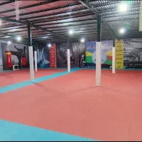 باشگاه رزمی