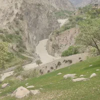 گواهینامه پیدا شده