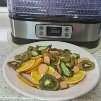 میوه خشک کن تکنو