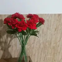 گل رز|گل مصنوعی|صدرا-فارس, فاز ۲|دیوار