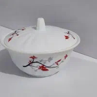 سرویس چینی و آرکوپال و آرکوفام مناسب جهیزیه|ظروف سرو و پذیرایی|بیرجند, |دیوار