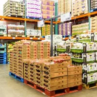 پذیرش نیروی کاری در پخش مواد خوراکی|استخدام بازاریابی و فروش|سقز, |دیوار