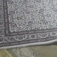 فرش دستباف ۶متری|فرش|بیرجند, |دیوار
