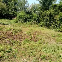 ۷۰۰متر * لولمان/چهارده * زیر قیمت/شرایطی|فروش زمین و ملک کلنگی|آستانه اشرفیه, |دیوار