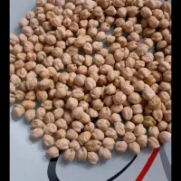 نخود دیم درجه یک کرمانشاه