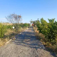 باغ 800 متری جنب اسفالت با انشعابات