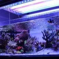 لوازم آکواریوم