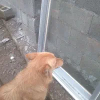 پنجره المینیومی