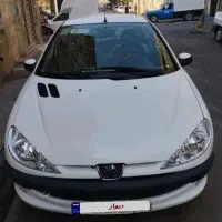 206درحد خشک کلکسیونی