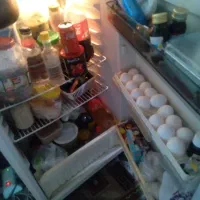 یخچال فریزر فیلور|یخچال و فریزر|ری, شهادت|دیوار