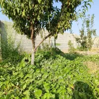 خونه باغ در قشلاق آبیک