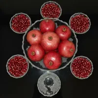 ظروف پذیرایی