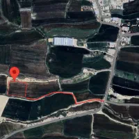 زمین کشاورزی سرطا|فروش دفتر صنعتی، کشاورزی، تجاری|رامهرمز, |دیوار