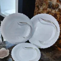 انواع آرکوپال کف گل طرح چینی|ظروف سرو و پذیرایی|نیشابور, شریعتی|دیوار