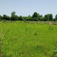 فروش زمین در روستای چهارده|فروش زمین و ملک کلنگی|آستانه اشرفیه, |دیوار