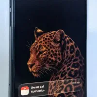 آیفون ۱۶ نرمال iphon 16 normal