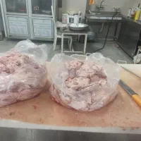 غذای سگ خام وپخته|لوازم جانبی حیوانات|زنجان, |دیوار