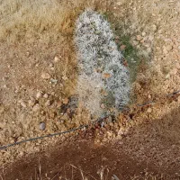 راهنمایی چشم سوم