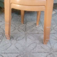 صندلی پلاستیکی نظری در حد نو|صندلی و نیمکت|کازرون, |دیوار