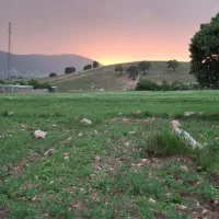 زمین گواور ۱۷۵ متر