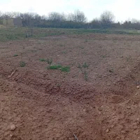 زمین مناسب سرمایه گذاری|فروش زمین و ملک کلنگی|صائین قلعه, |دیوار