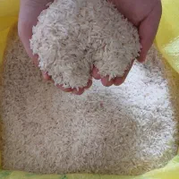 برنج طارم  سیروان روستا اسلامیه