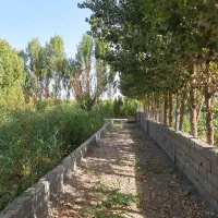 باغچه فنس کشی فروشی|فروش دفتر صنعتی، کشاورزی، تجاری|ری, امین آباد|دیوار