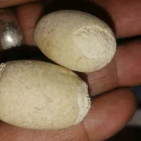 سنگ گبری|جواهرات|اهواز, بهارستان|دیوار