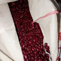 لوبیای درجه یک