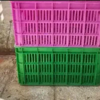 جعبه گوجه 20عدد