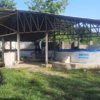 استخر پرورش ماهی|فروش دفتر صنعتی، کشاورزی، تجاری|پره‌سر, |دیوار