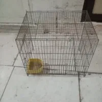 قفس|لوازم جانبی حیوانات|سنندج, |دیوار