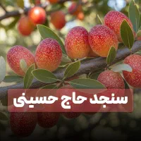 فروش ویژه سنجد در ارقام مختلف