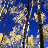 36متر-آپارتمان-سعید-حسینی