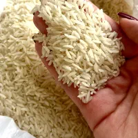 برنج هاشمی سورتینگ شده درجه ۱