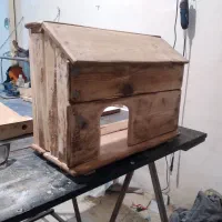 لانه ی حیوانات خانگی