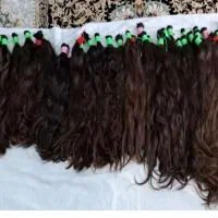 خریدار مو خام و رنگ شده