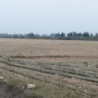 14942متر زمین کشاورزی تسطیح نشده350