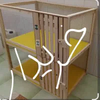 قفس دو طبقه و کبوتر